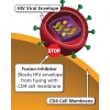 fusion-inhibitor2-800