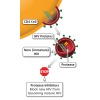 protease-inhibitors-800