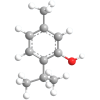 ectogano_structure